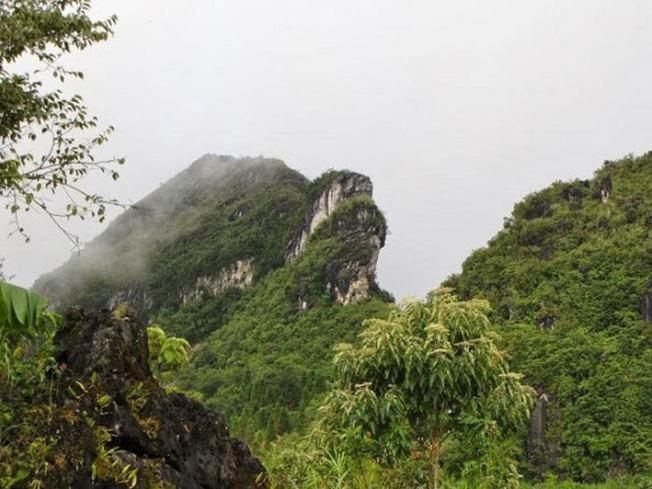 Sapa Harmony Homestay 외부 사진